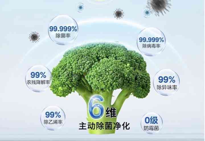 东芝冰箱全面解析：质量、产地与高性价比型号推荐